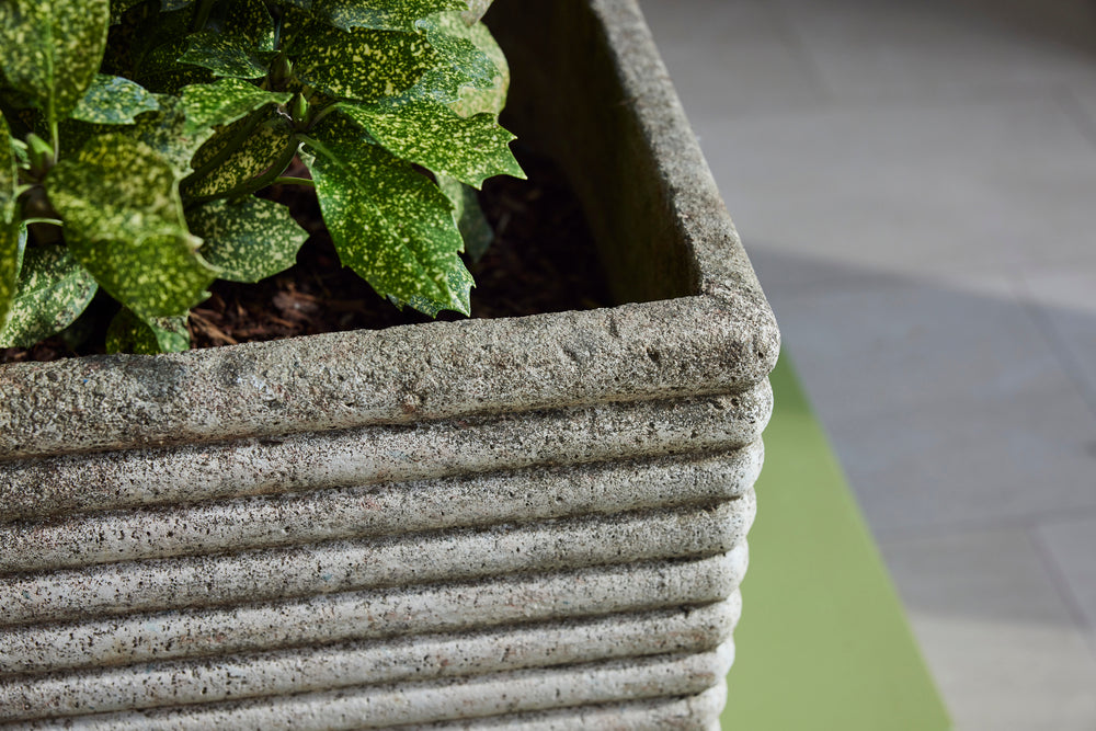 Mid Century Ribbed Planters | Garden Antiques | Violet Grey